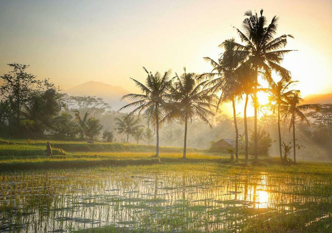 Puri Darma Agung Villa Ubud Exterior foto